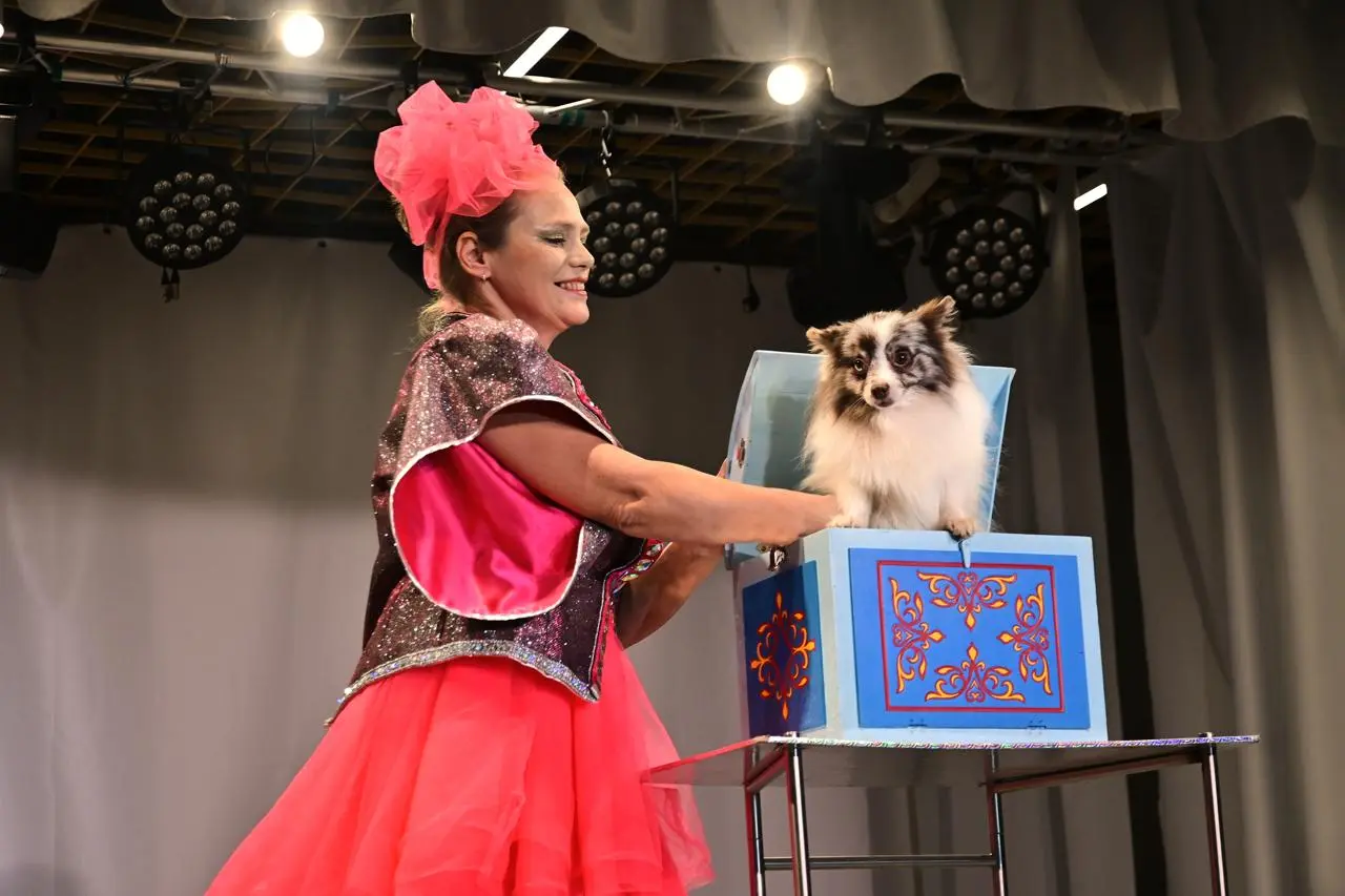 Новогодний Цирк на ВДНХ