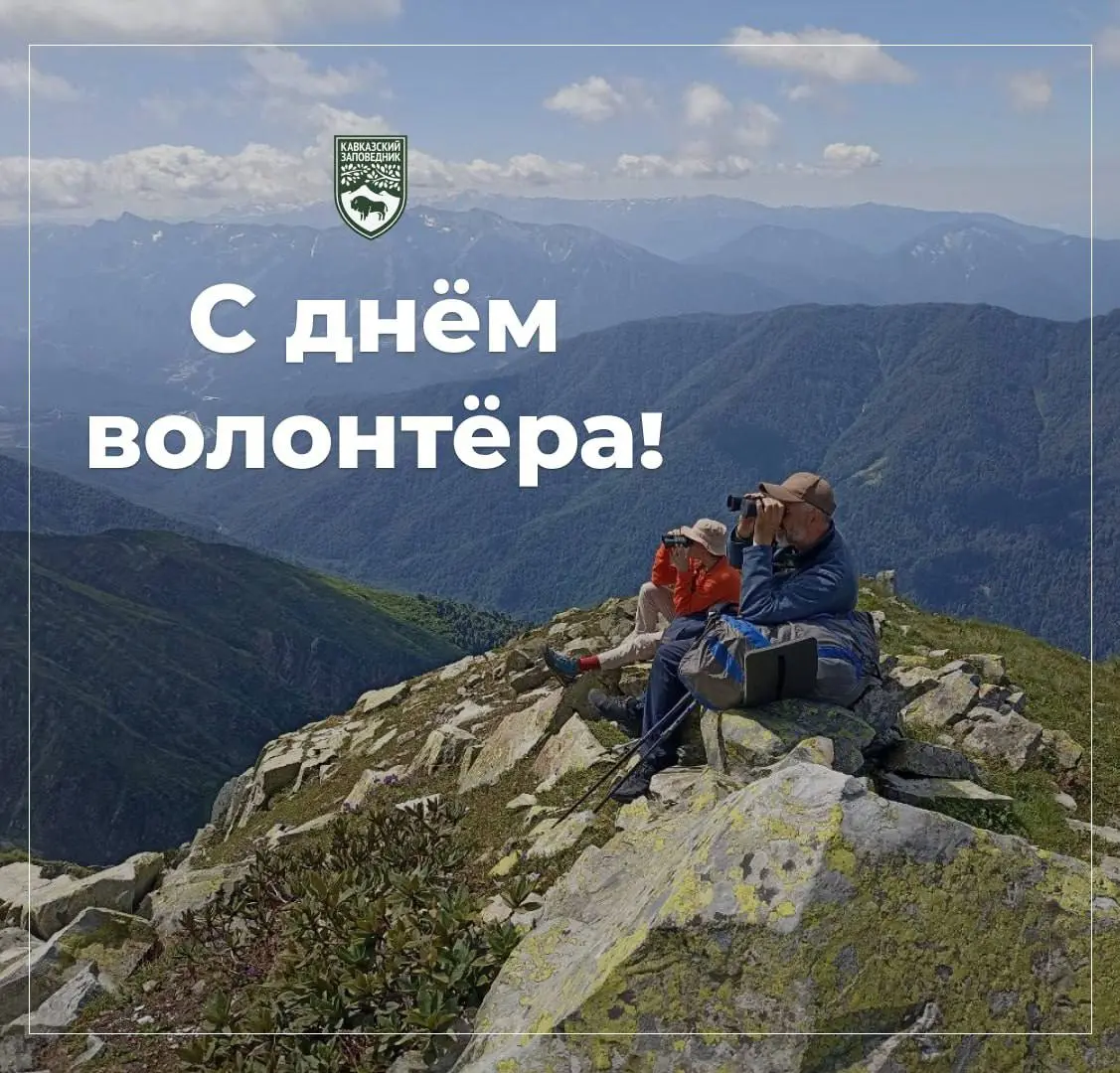 День волонтера