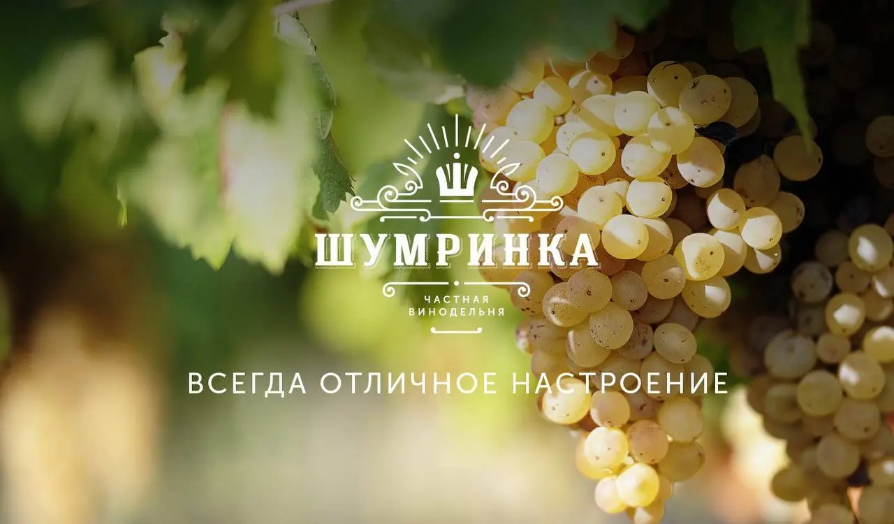 Дегустация "Залечь на дно в Бужоре"