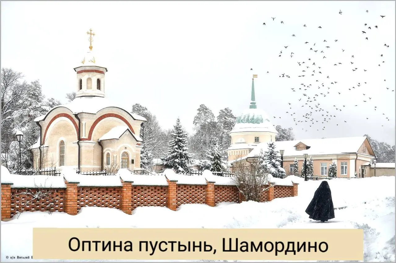 БЛАГОСЛОВЕННАЯ ОПТИНА