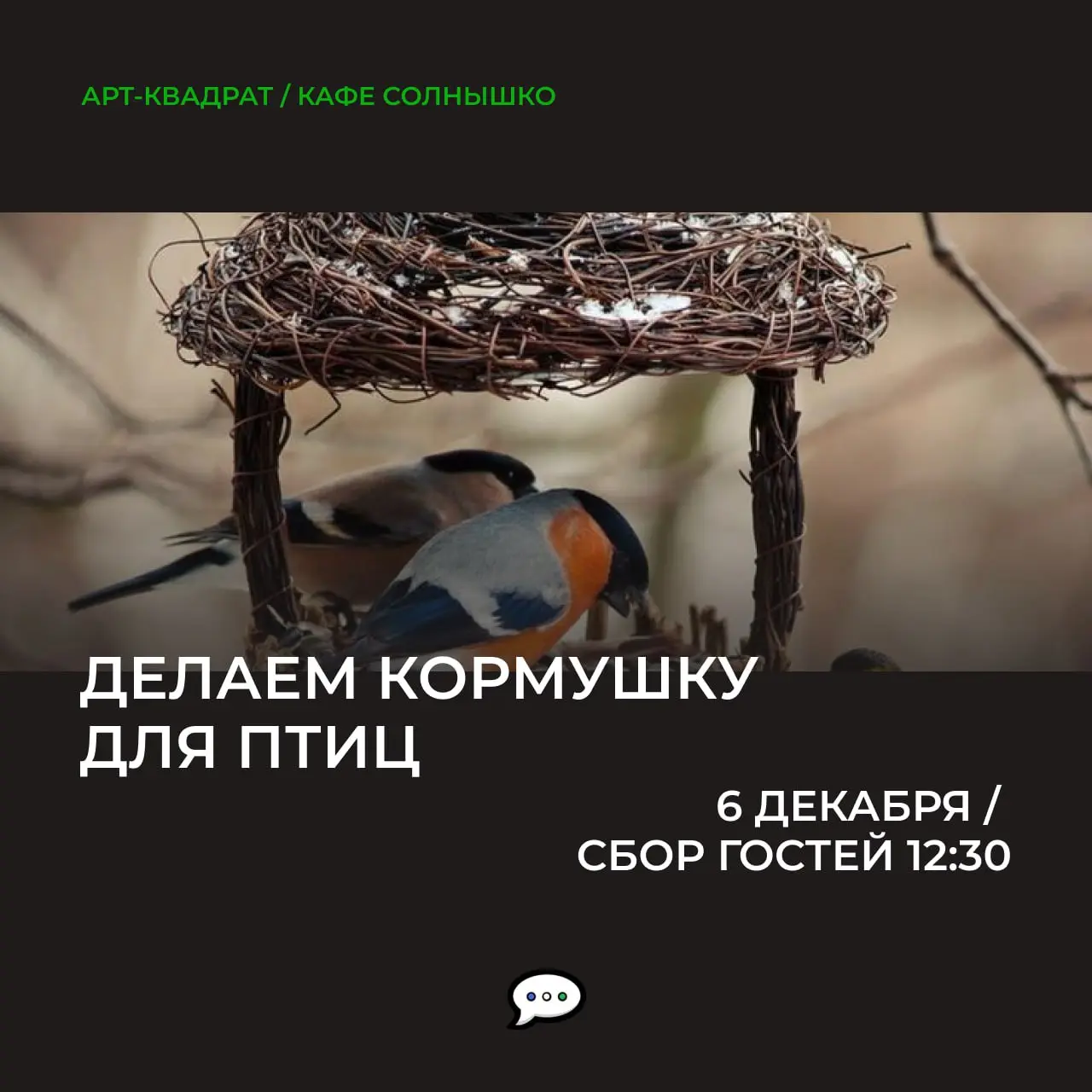 Кафе для птиц