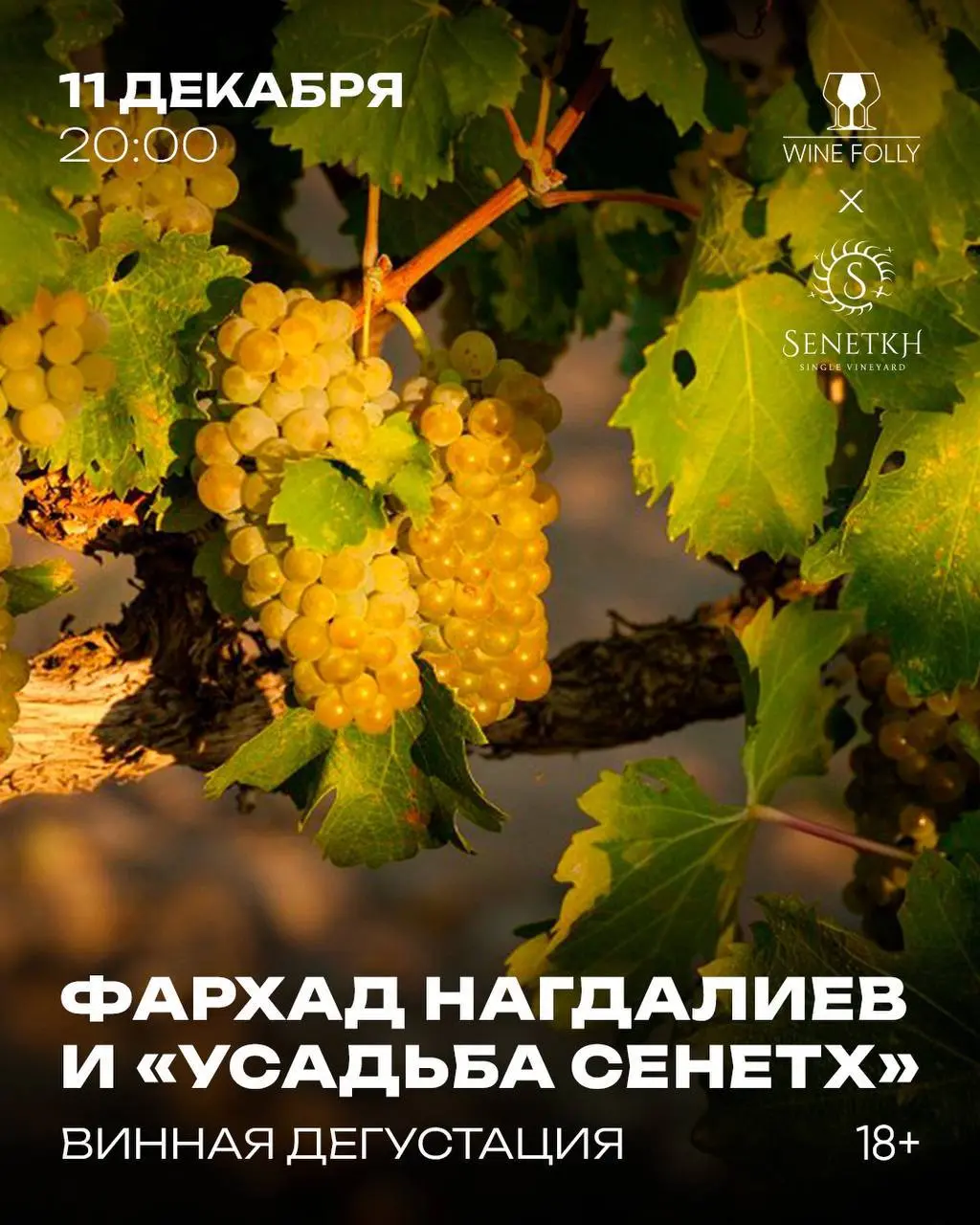 SENETKH ВИНОДЕГУСТАЦИЯ