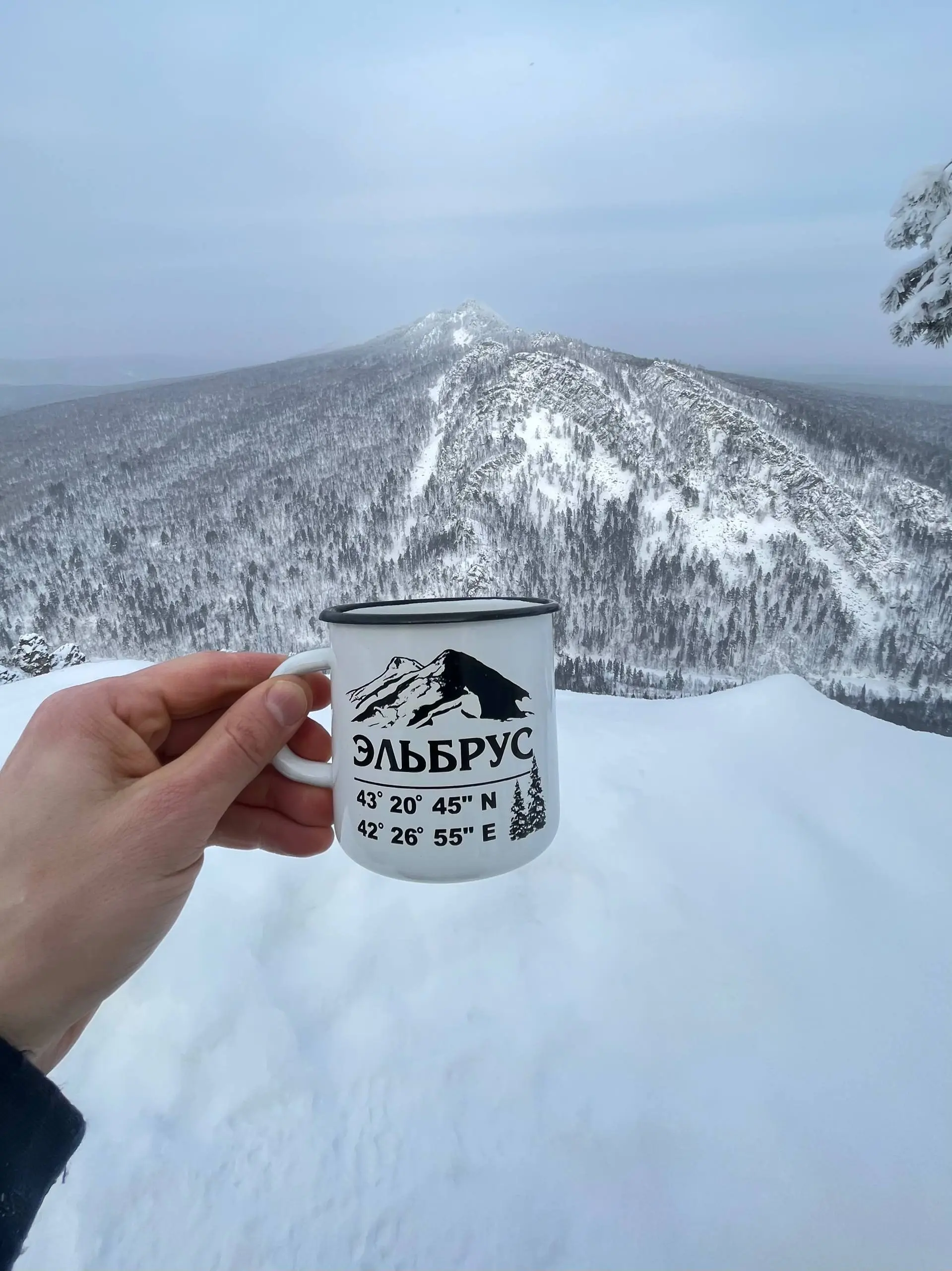 Предновогодний выезд