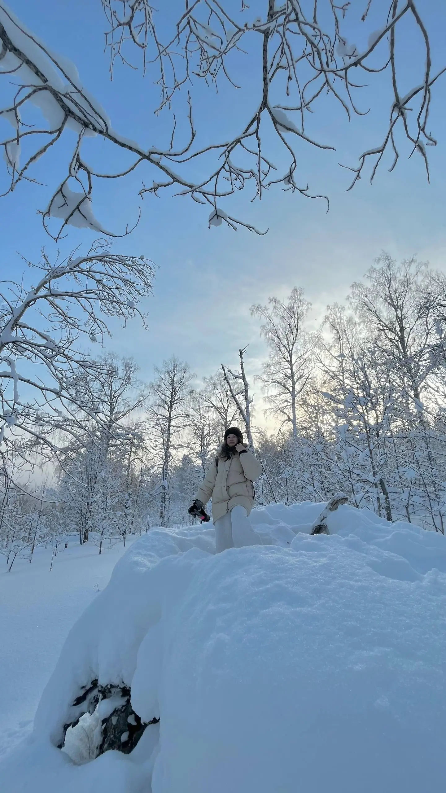 Предновогодний выезд