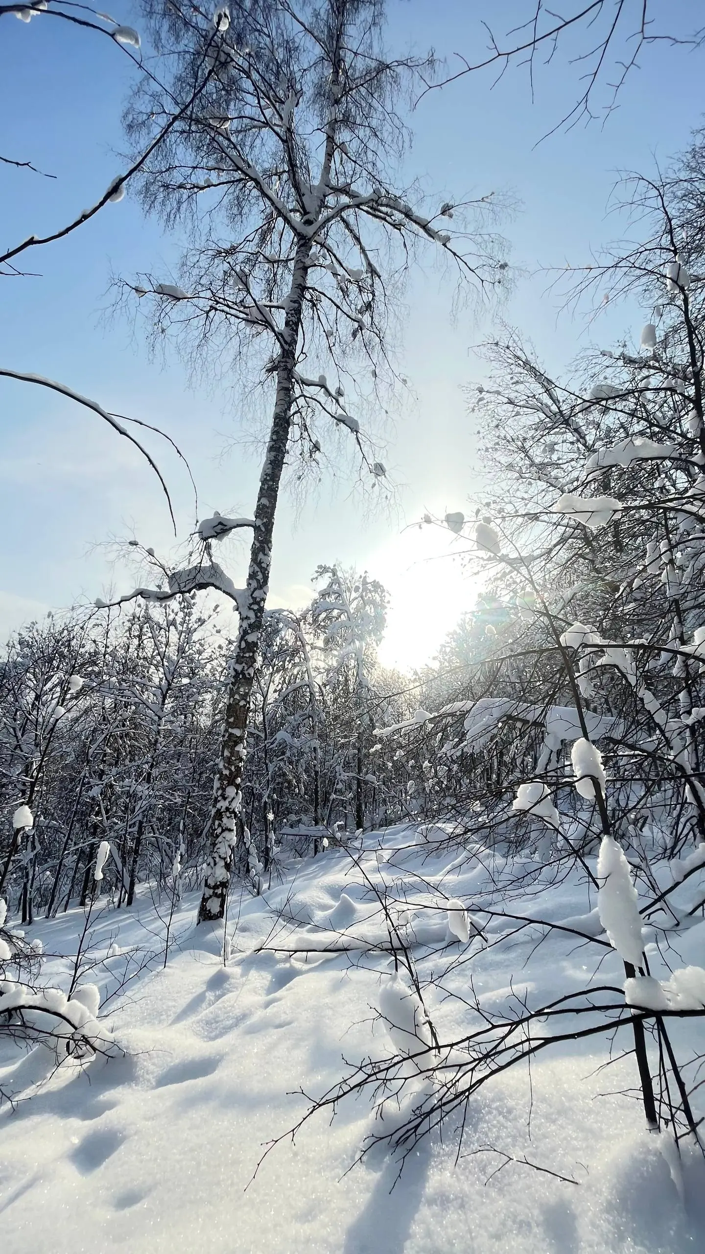 Предновогодний выезд