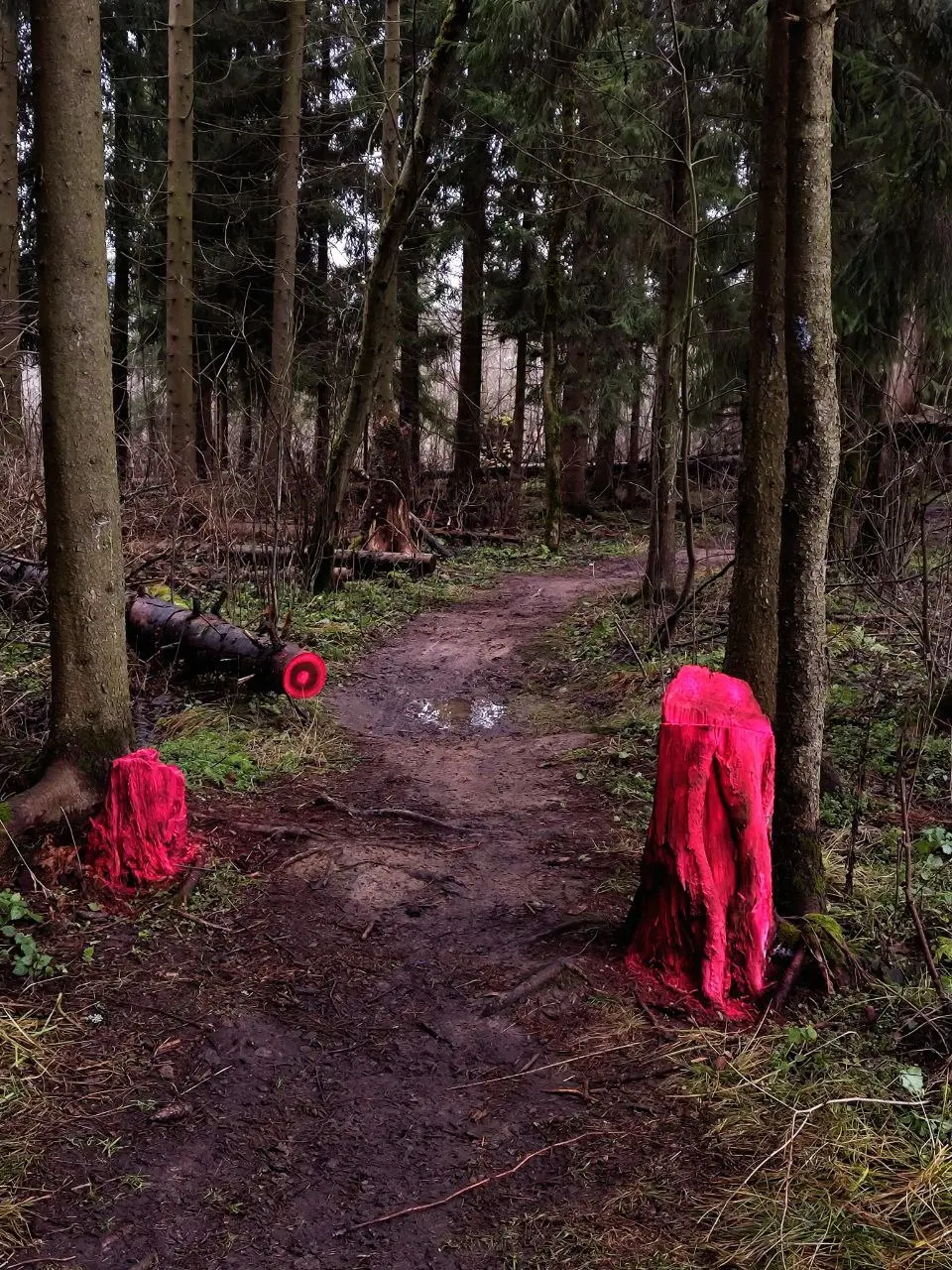 ЭПИЛЕСПИСИЯ