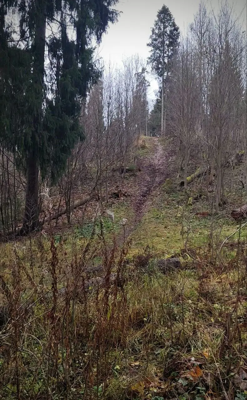 ЭПИЛЕСПИСИЯ