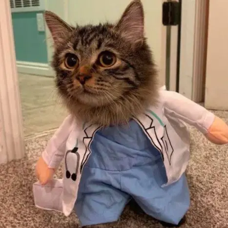 Ночная диспансеризация