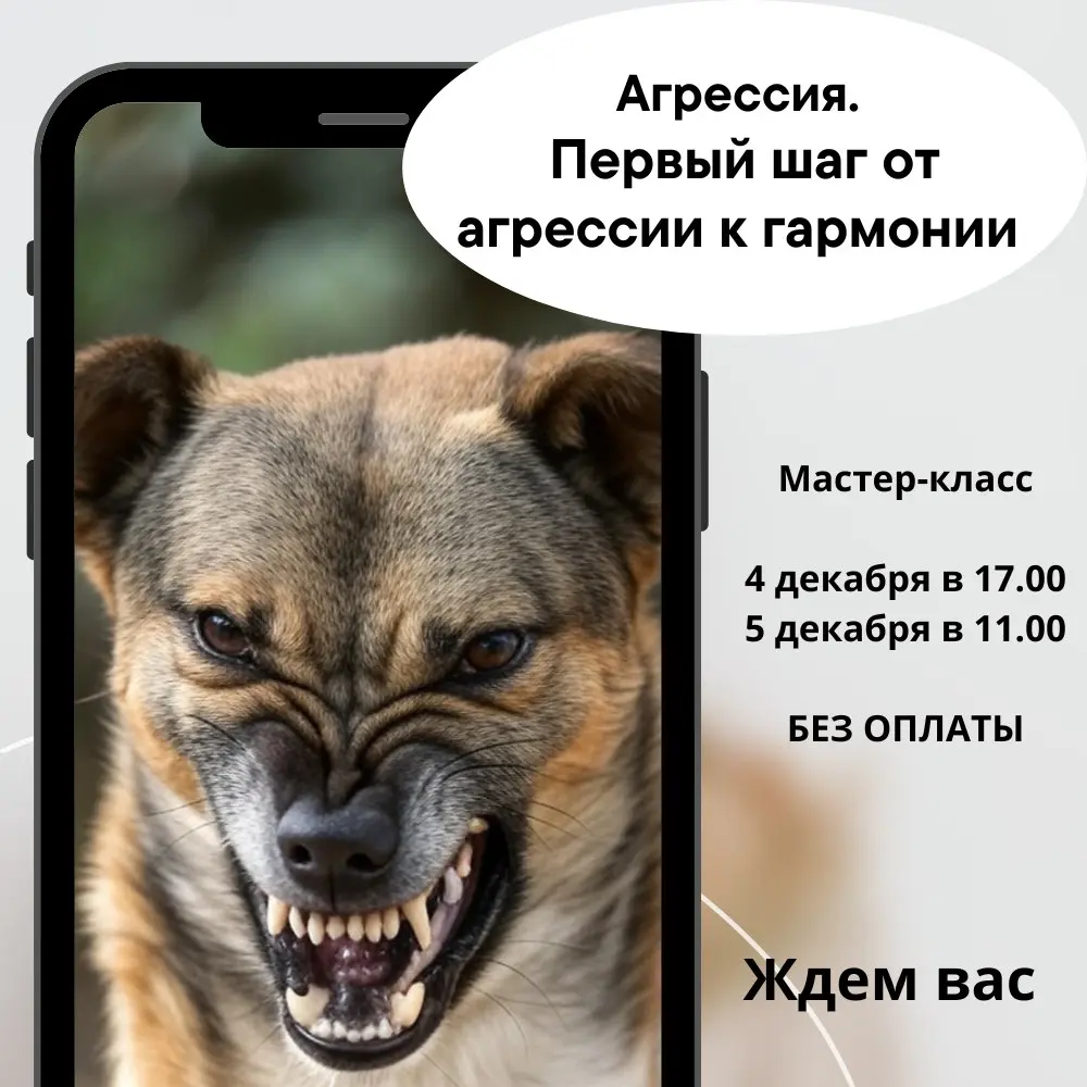 Агрессия: первый шаг от агрессии к гармонии