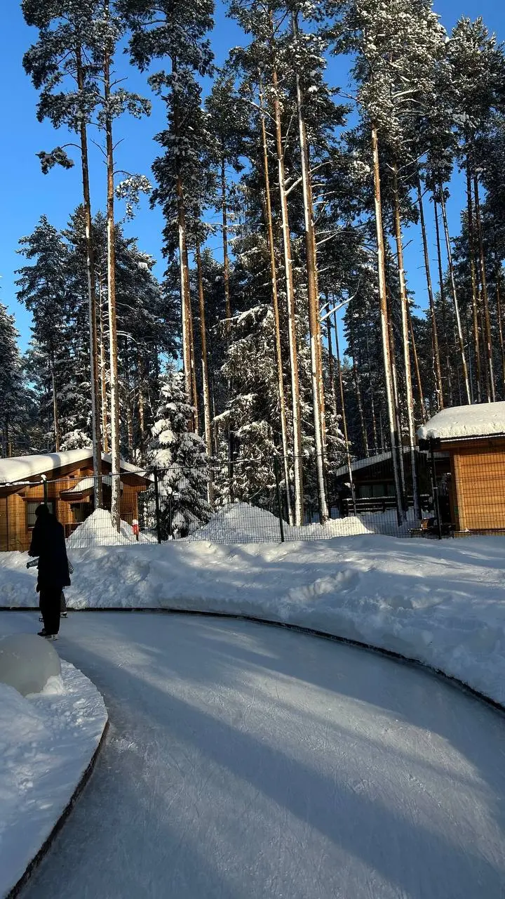 Пушистые друзья и ледяные приключения