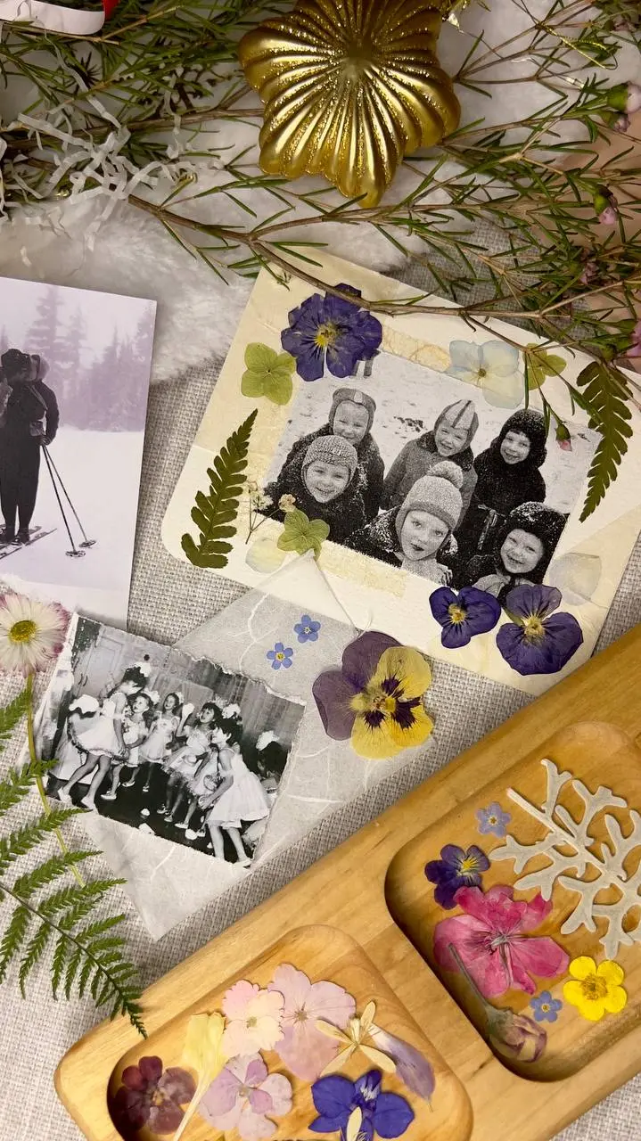 НОВОГОДНИЙ КОЛЛАЖ + ГЕРБАРИЙ