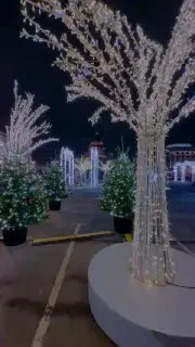 Сверкающий зимний сад