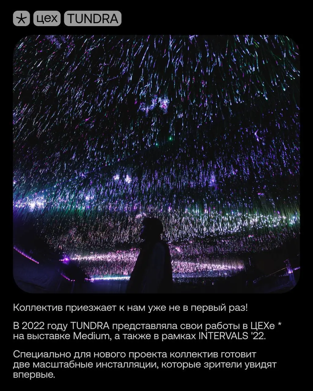 Выставка мультимедийных работ TUNDRA