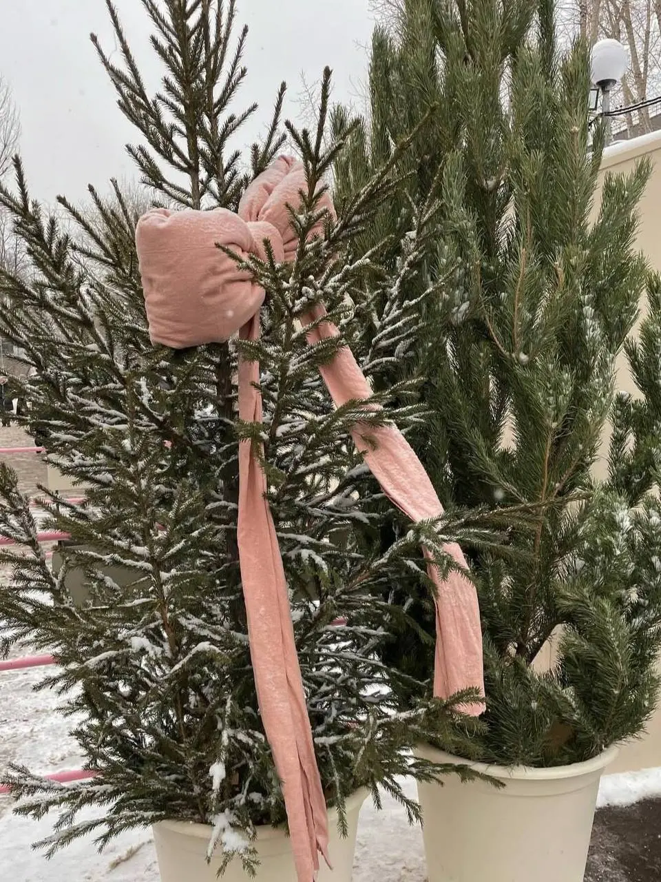 Фестиваль зимних товаров и развлечений