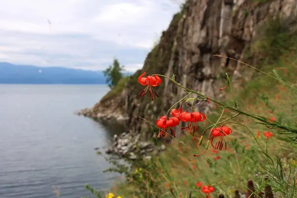 Интеллектуальная игра по теме Байкала