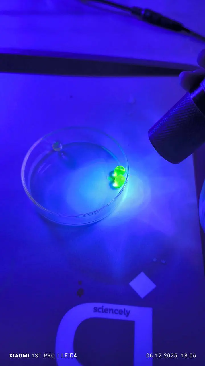 Научное шоу по теме Нобелевской премии