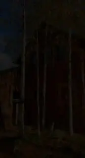 Выездной новогодний ретрит по Алхимии сексуальности