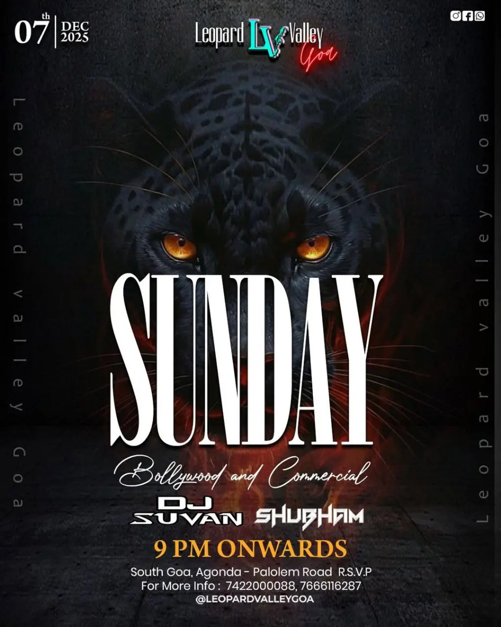 Вечеринка в Leopard Valley