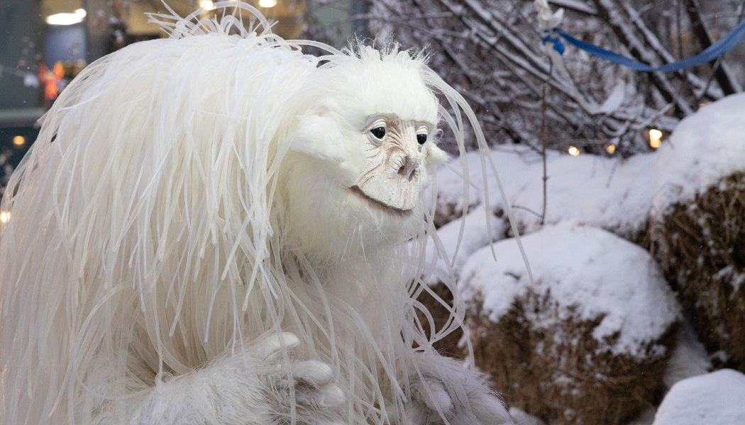 Новогодние экспедиции