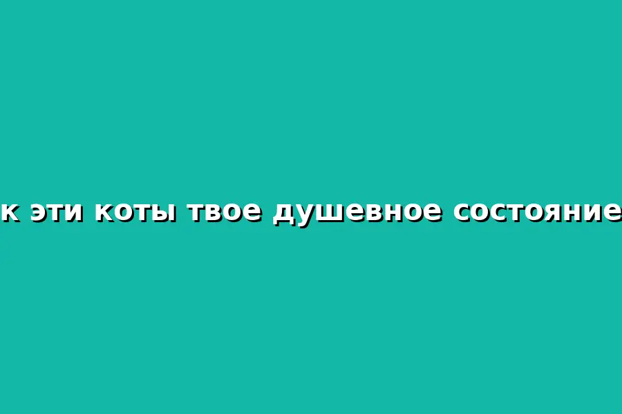 Концерт по душевному состоянию