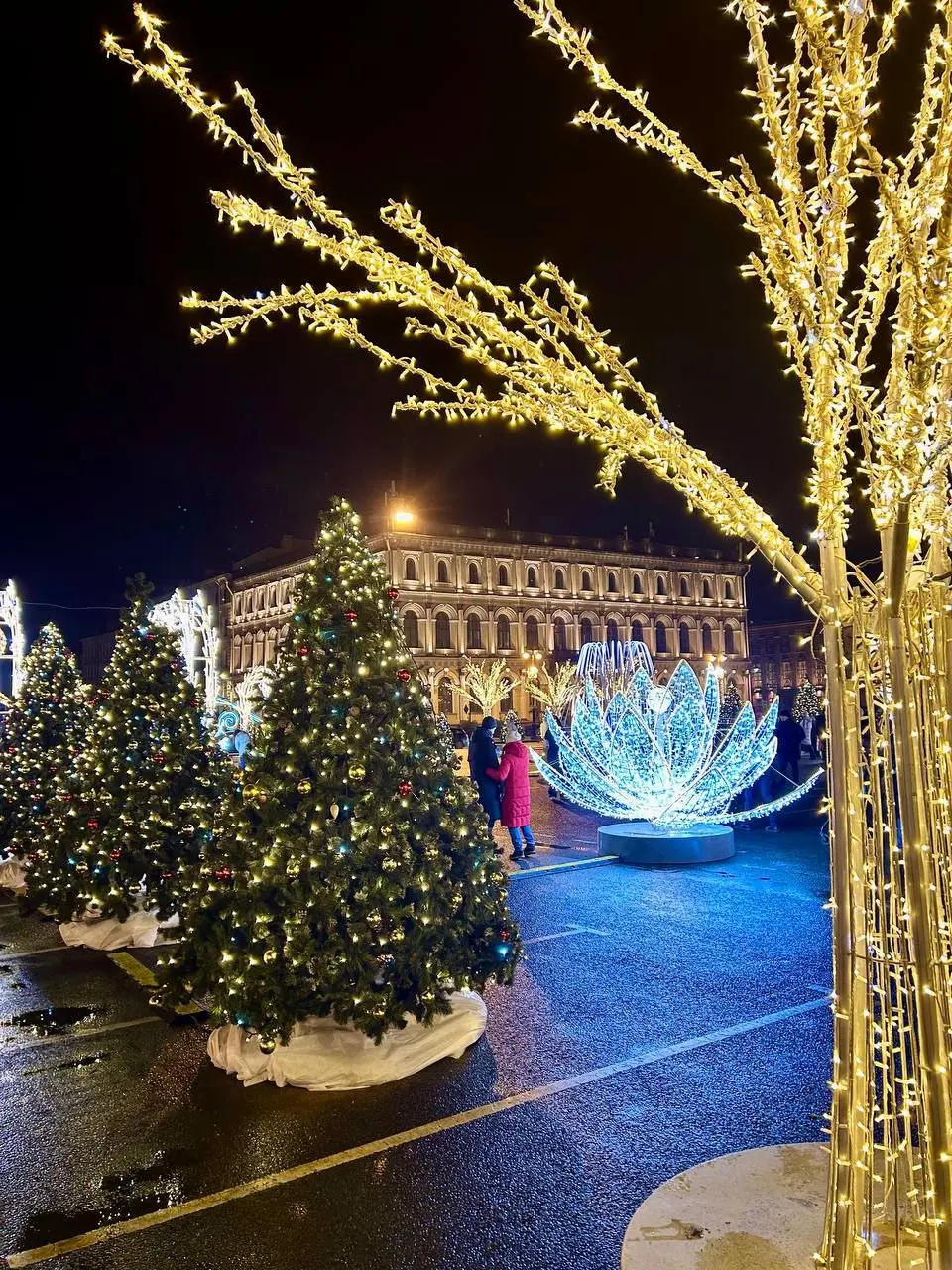 Зимний сад у Мариинского дворца
