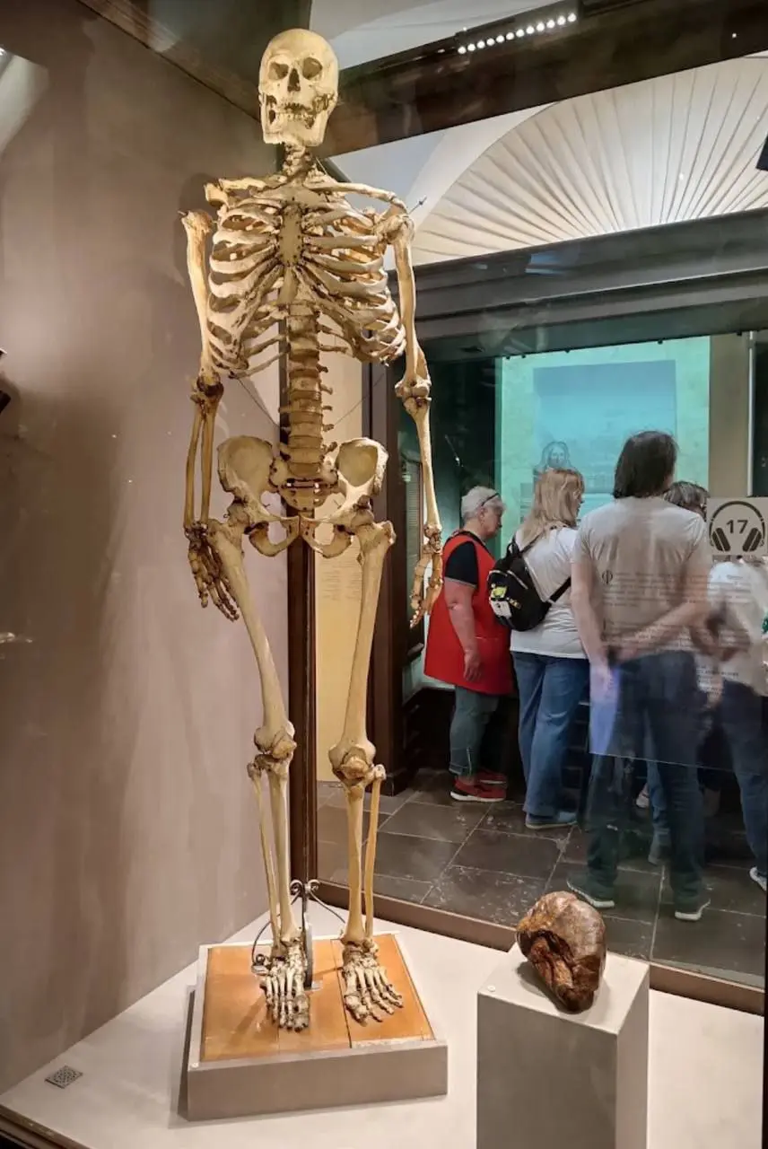 Посещение музея Кунсткамера