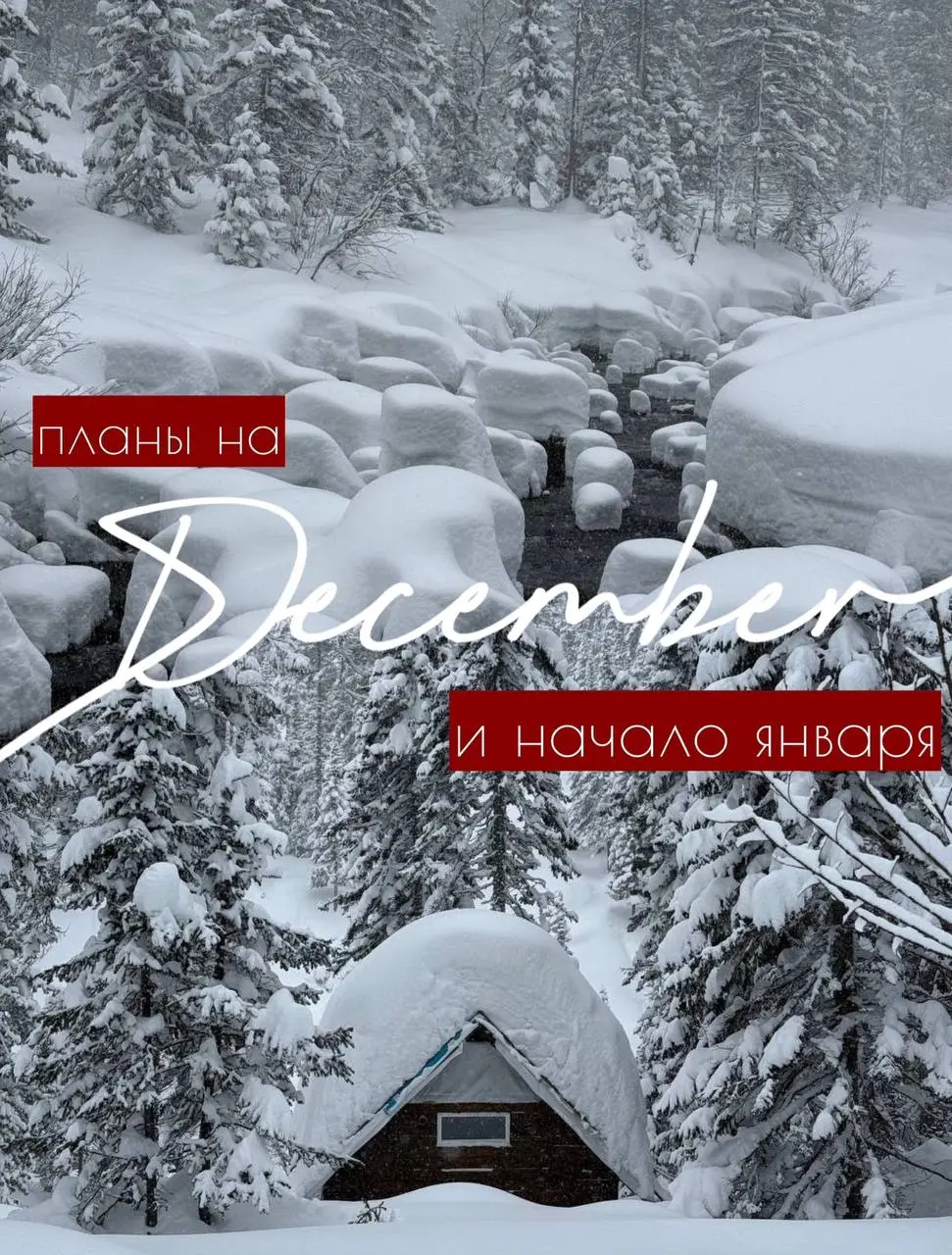 Серия походов по Братской территории