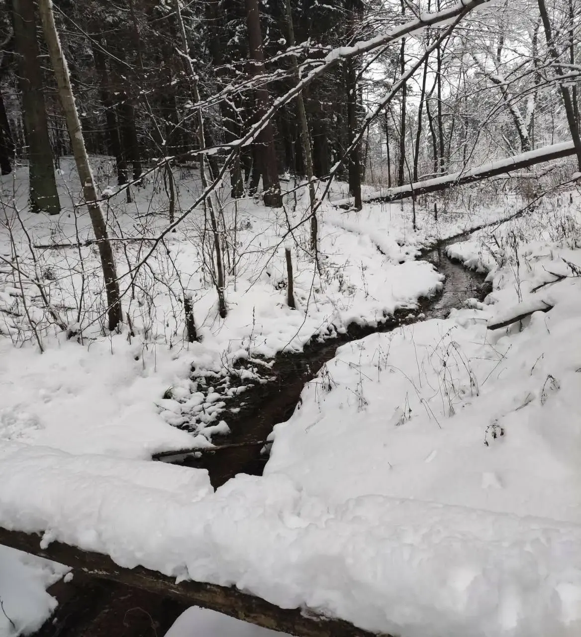 Поход о важности физической активности
