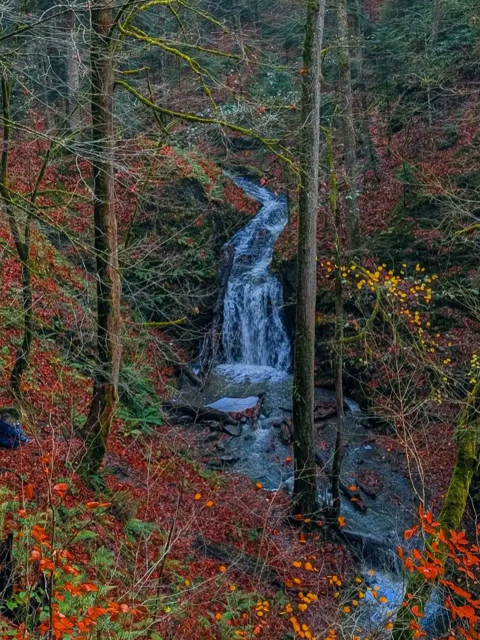 Тур по Гузериплю, Лаго-Наки и термальным источникам
