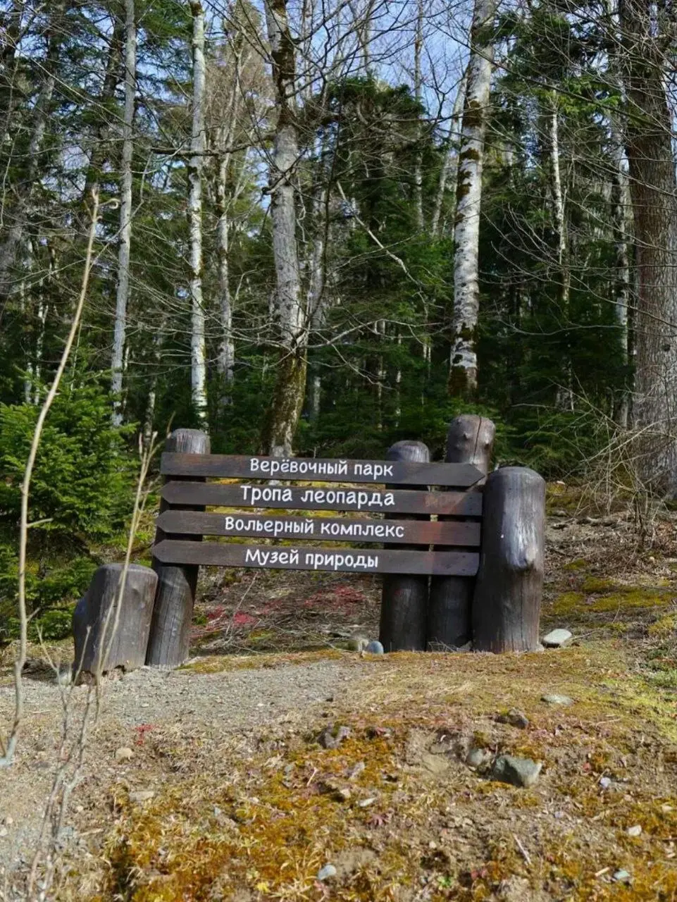 Тур по Гузериплю, Лаго-Наки и термальным источникам