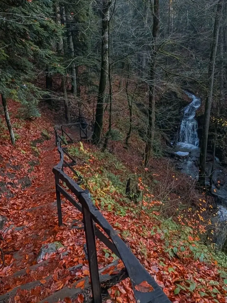 Тур по Гузериплю, Лаго-Наки и термальным источникам