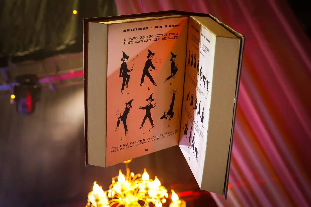 Шоу «Новый год в Хогвартсе»