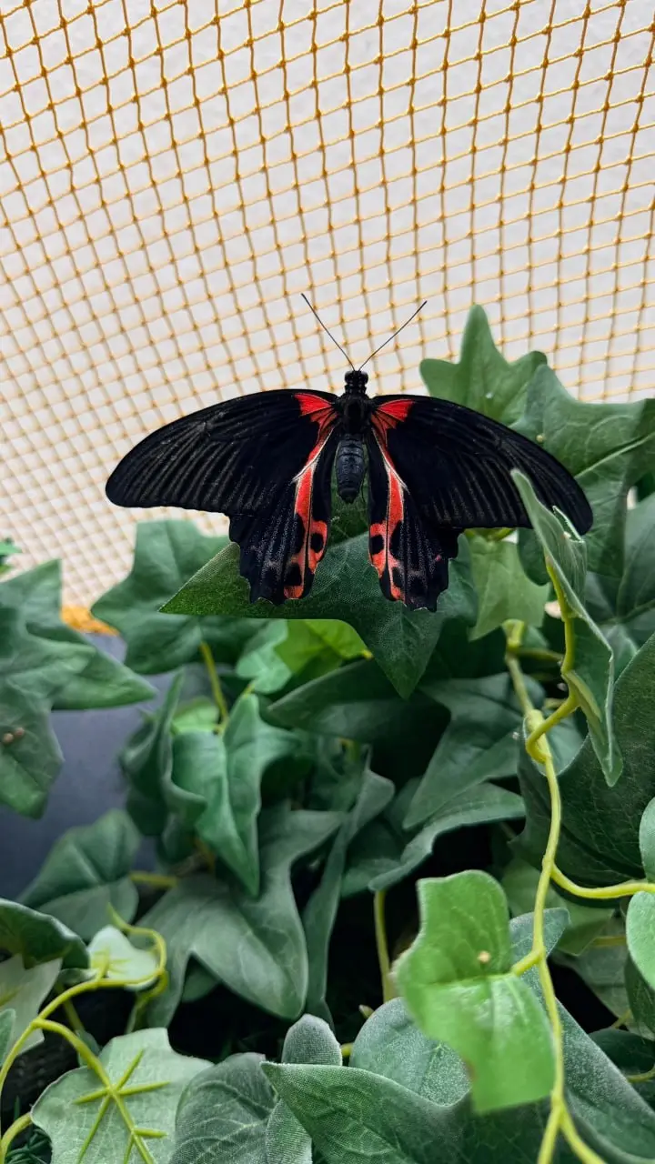 Экскурсия по историческому центру Уфы