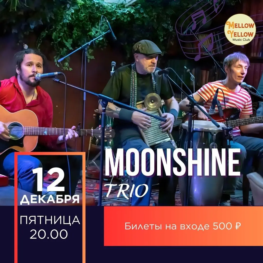 Концерт акустического блюз-коллектива Moonshine
