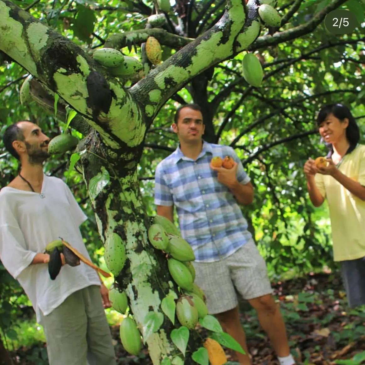 День Таиланда в Какао Доме