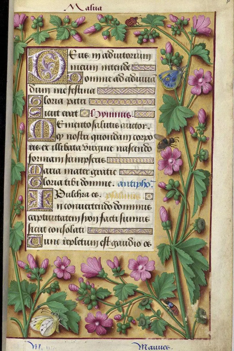 Экскурсия по выставке «Сухой сад» 9 декабря