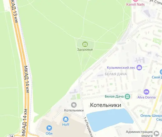 Празднование дня рождения с развлечениями