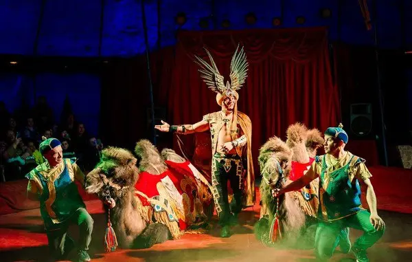 Цирковое шоу Восточная сказка