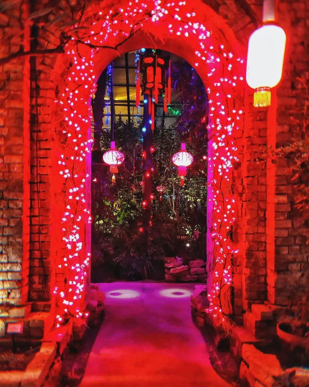 Фестиваль орхидей, хищных растений и кактусов «Тропическая Зима»