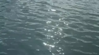 Презентация исследования о землях Доброграда