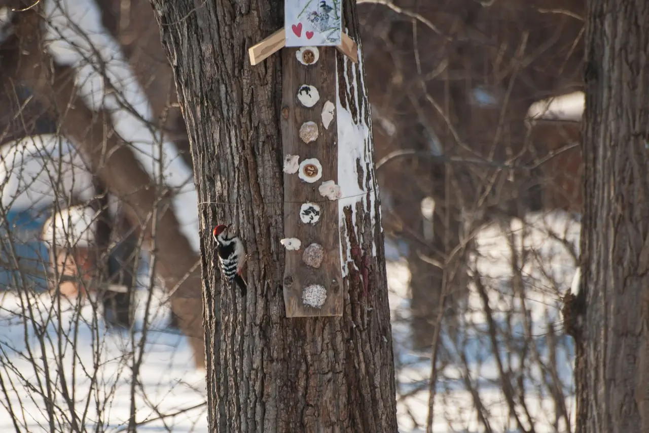 Презентация новых картин в Художественном музее