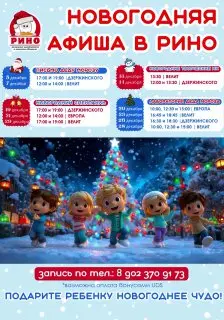 Новогодние творческие мастер-классы в Рино