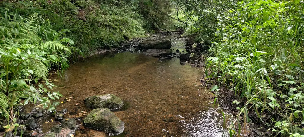 Пеший поход по маршруту Яхрома - Автополигон