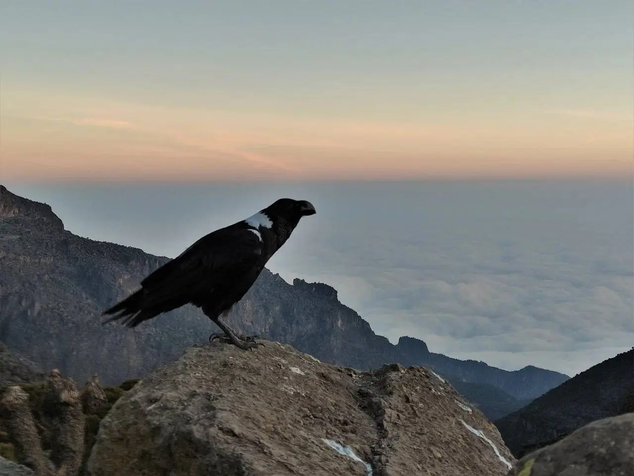 Интерактивная лекция о Килиманджаро - крыше Африки