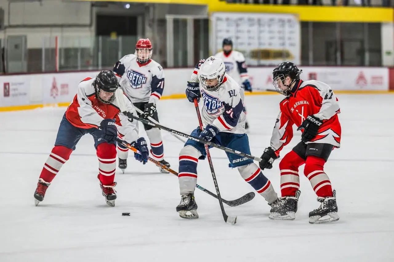 Товарищеская встреча хоккейных сборных