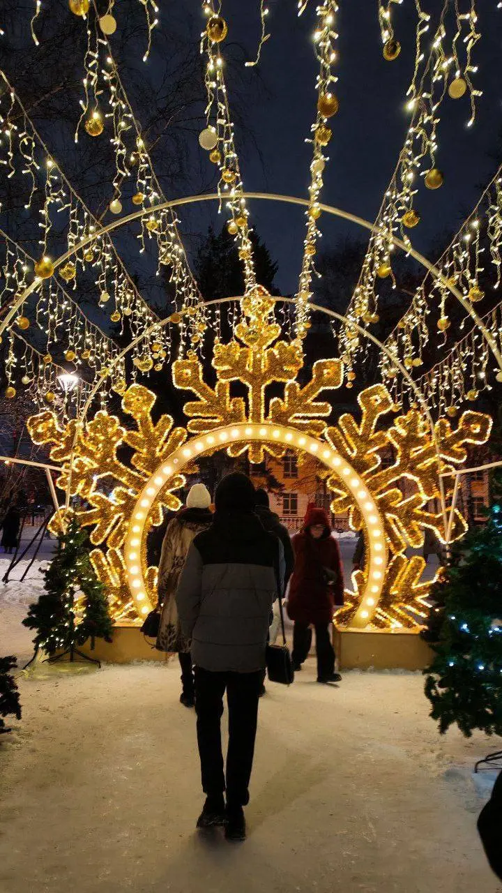 Праздничные новогодние гуляния в Новосибирске