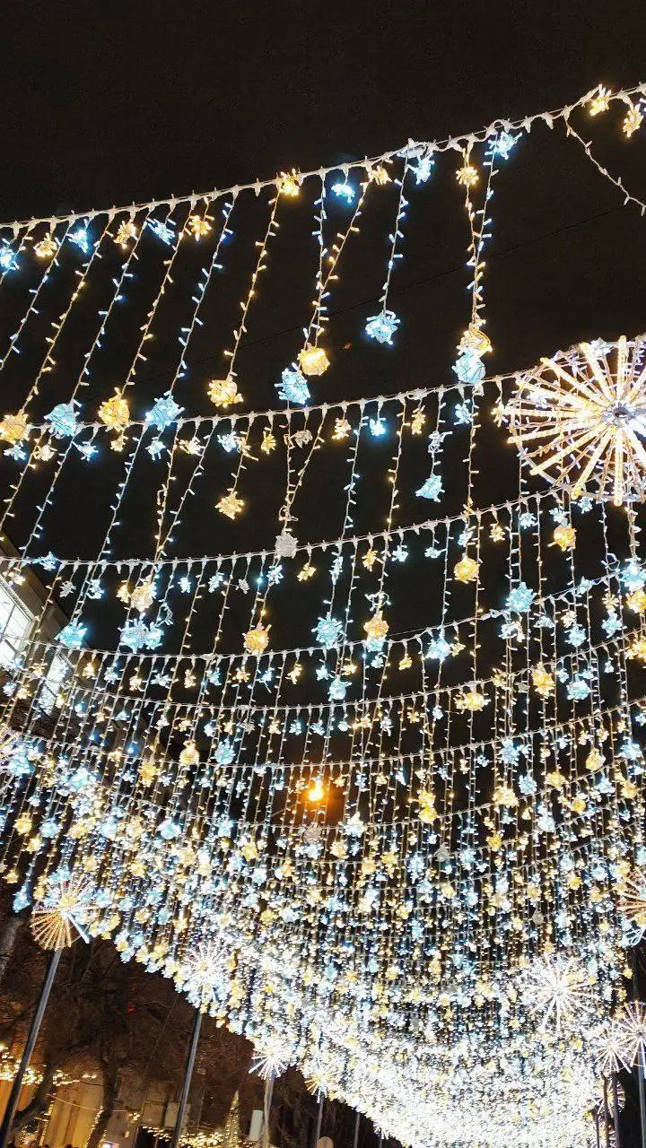 Праздничные новогодние гуляния в Новосибирске