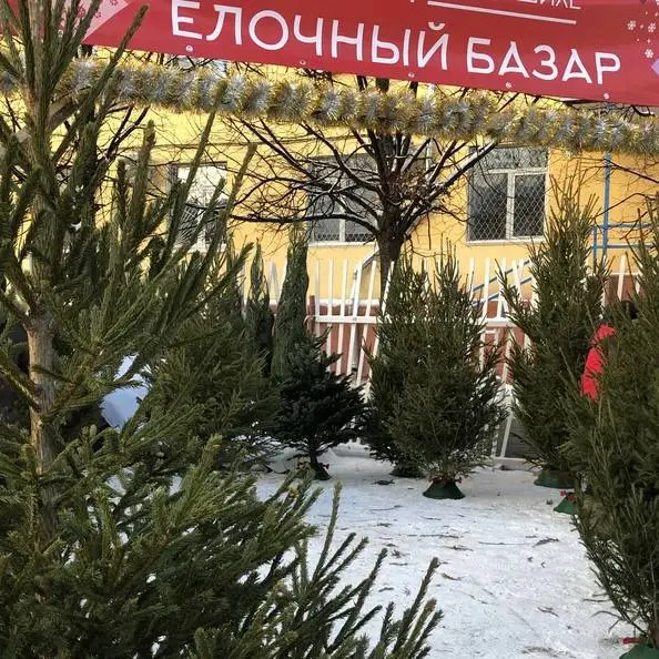 Открытие ёлочных базаров в Тюмени