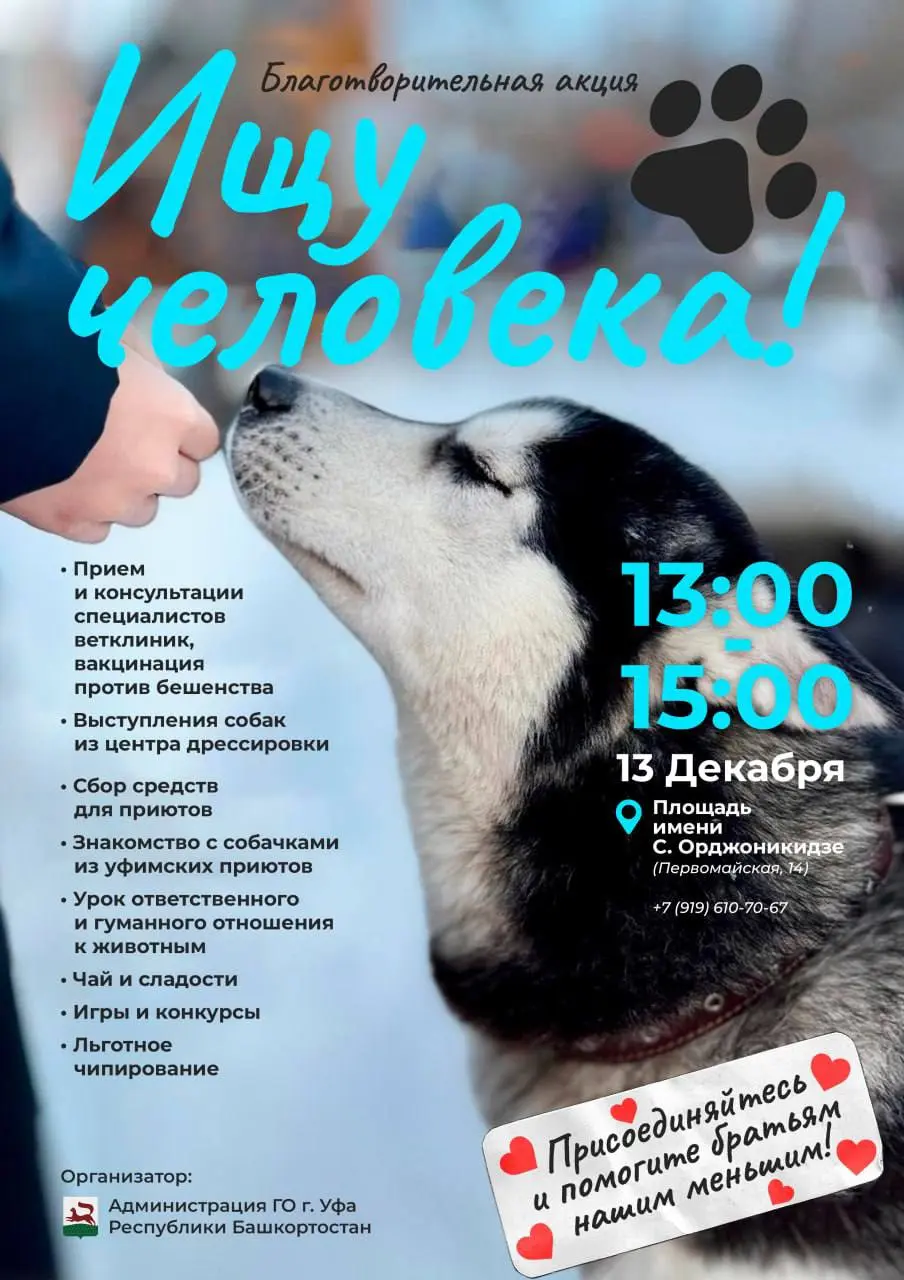 Акция по поиску питомца в Уфе