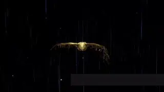 Шоу диджея Тиесто